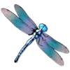 Big Bass Splash Slot Symbole Libelle