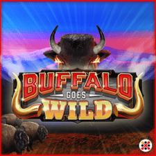 Buffalo Goes Wild