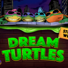 Dream Turtles
